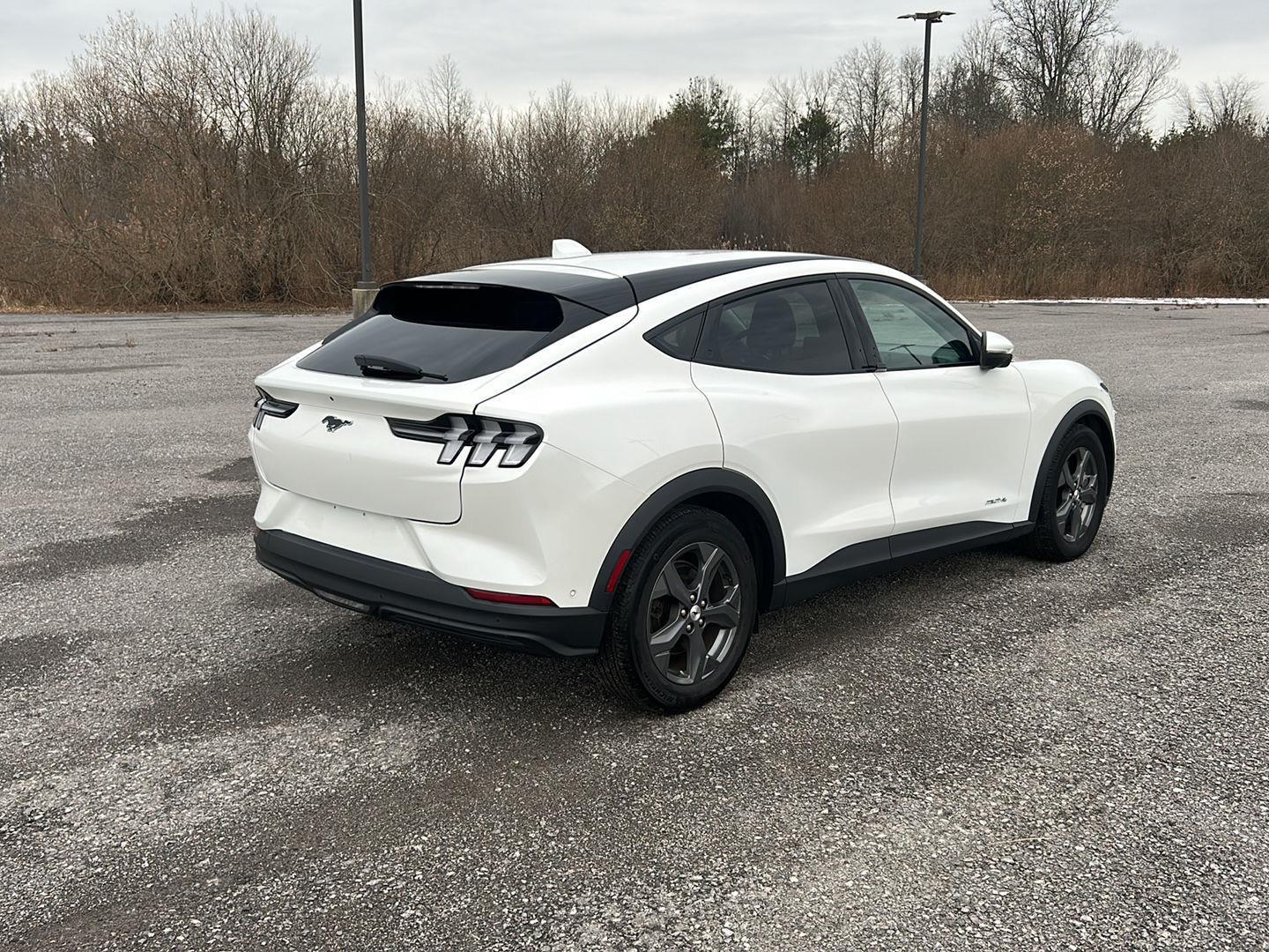 Used 2021 Ford Mustang Mach-E Select AWD with VIN 3FMTK1SS9MMA34626 for sale in Grand Island, NY