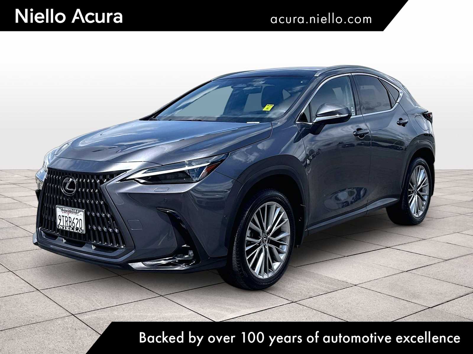 2025 Lexus NX 350h 350h Luxury AWD's photo