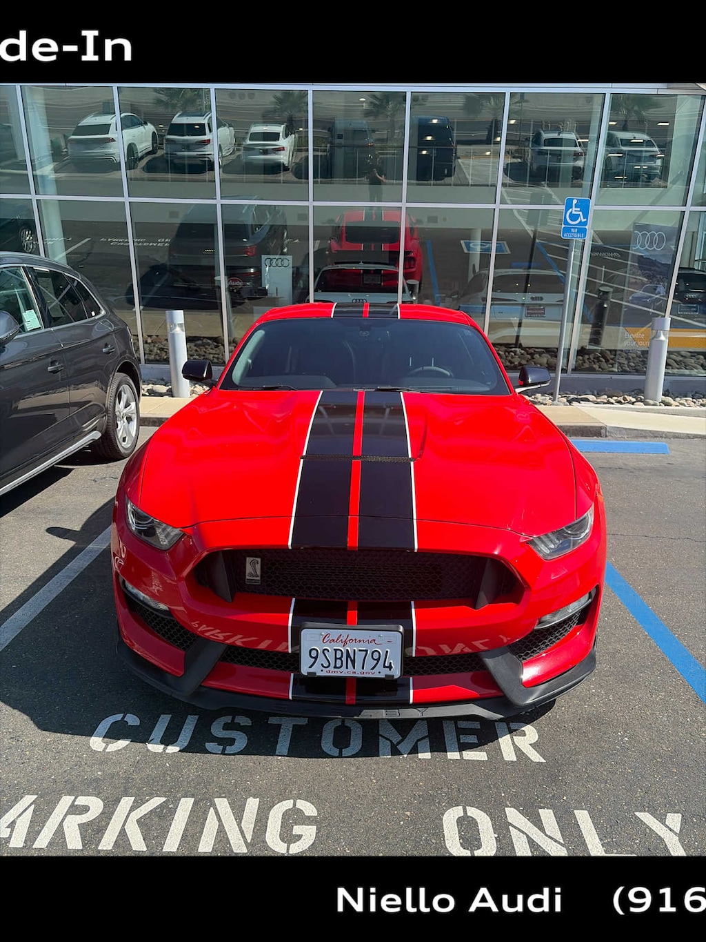 Used 2017 Ford Mustang Shelby GT350 Fastback
