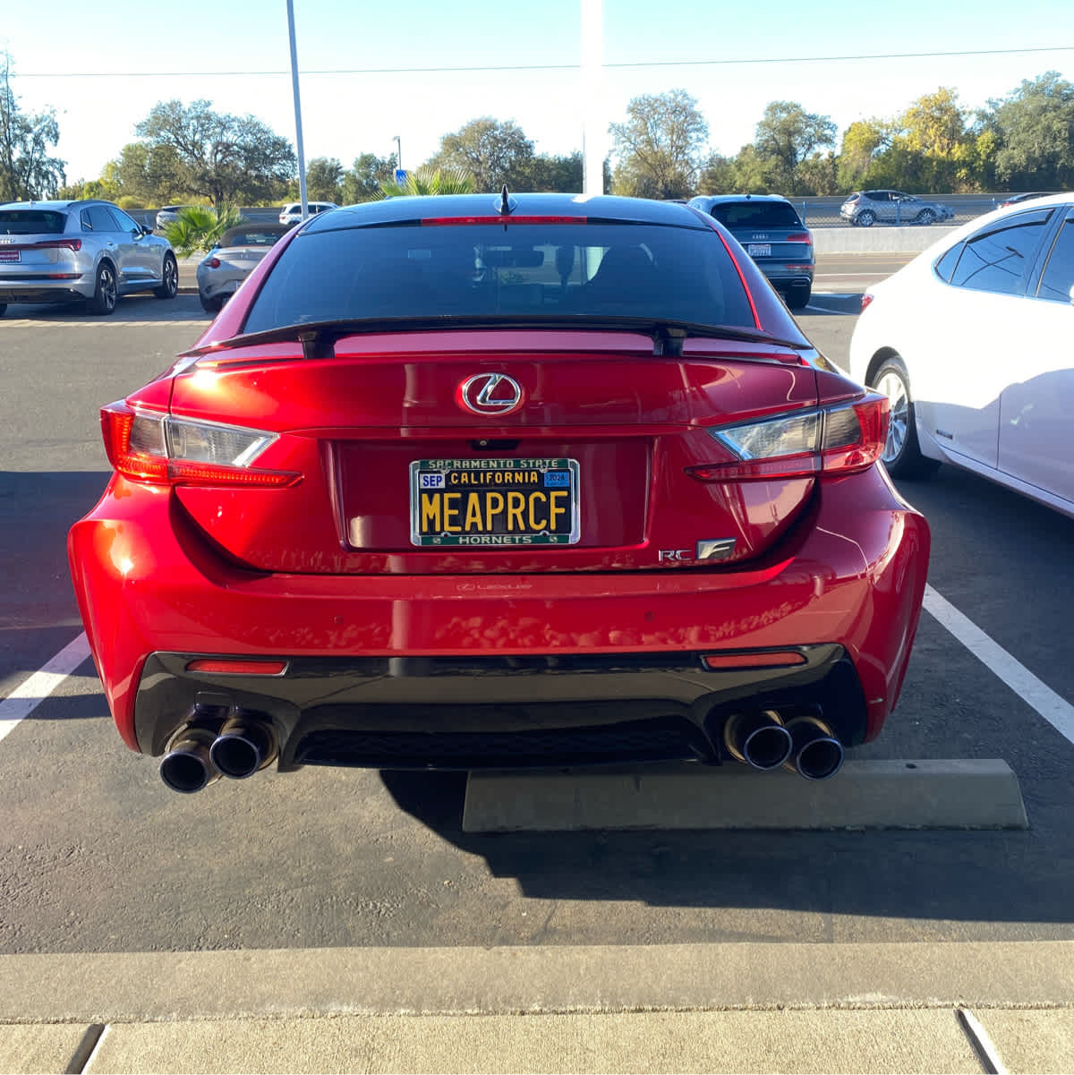 2017 Lexus RC F photo 4