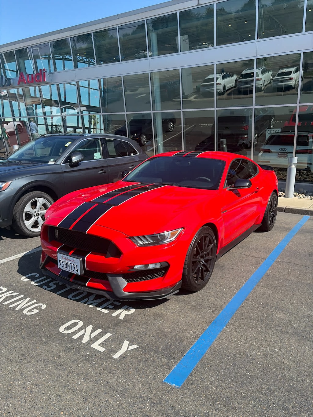 Used 2017 Ford Mustang Shelby GT350 Fastback