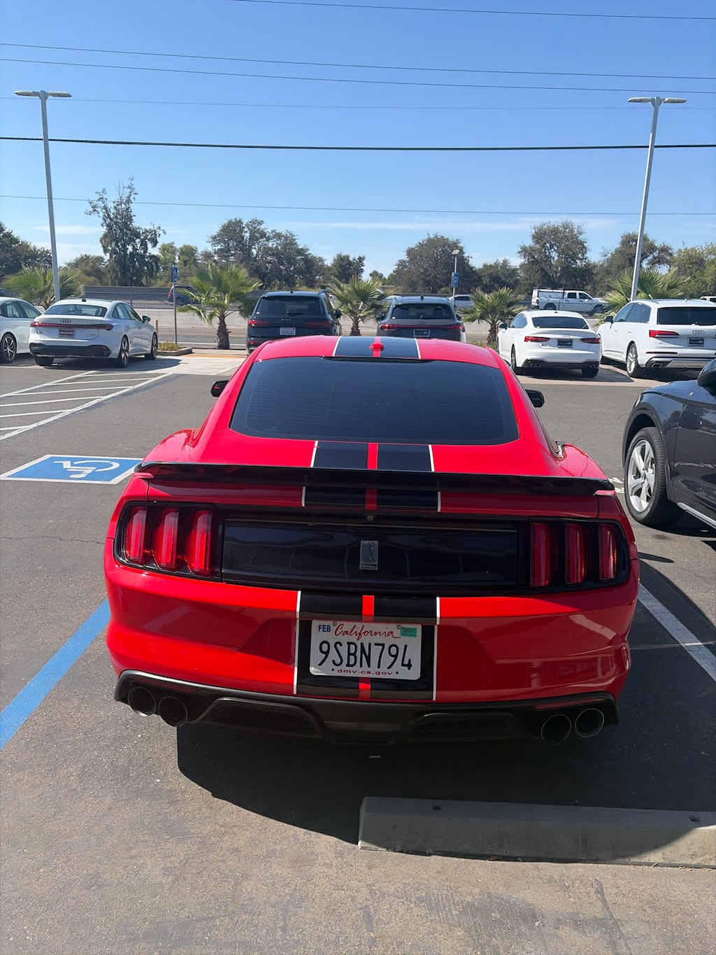 Used 2017 Ford Mustang Shelby GT350 Fastback