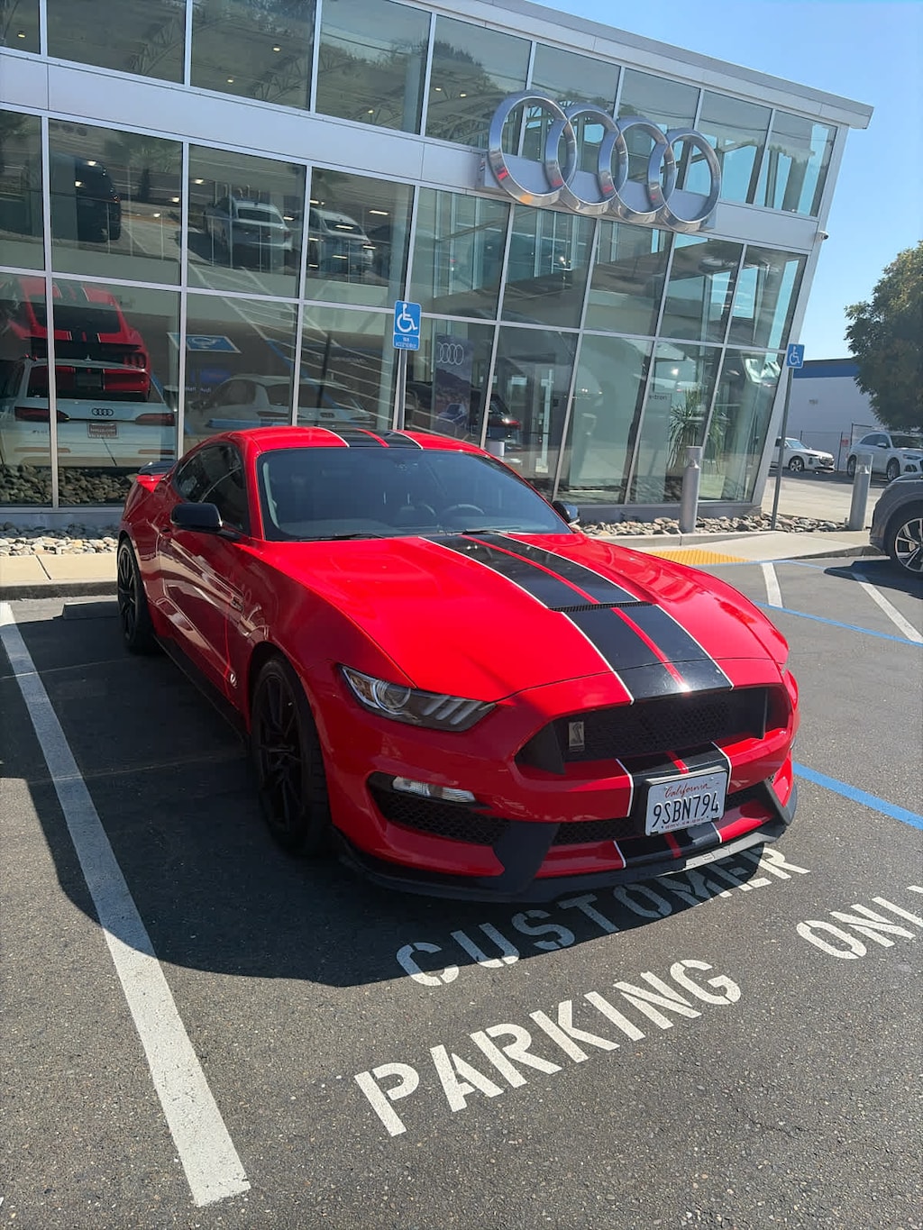 Used 2017 Ford Mustang Shelby GT350 Fastback