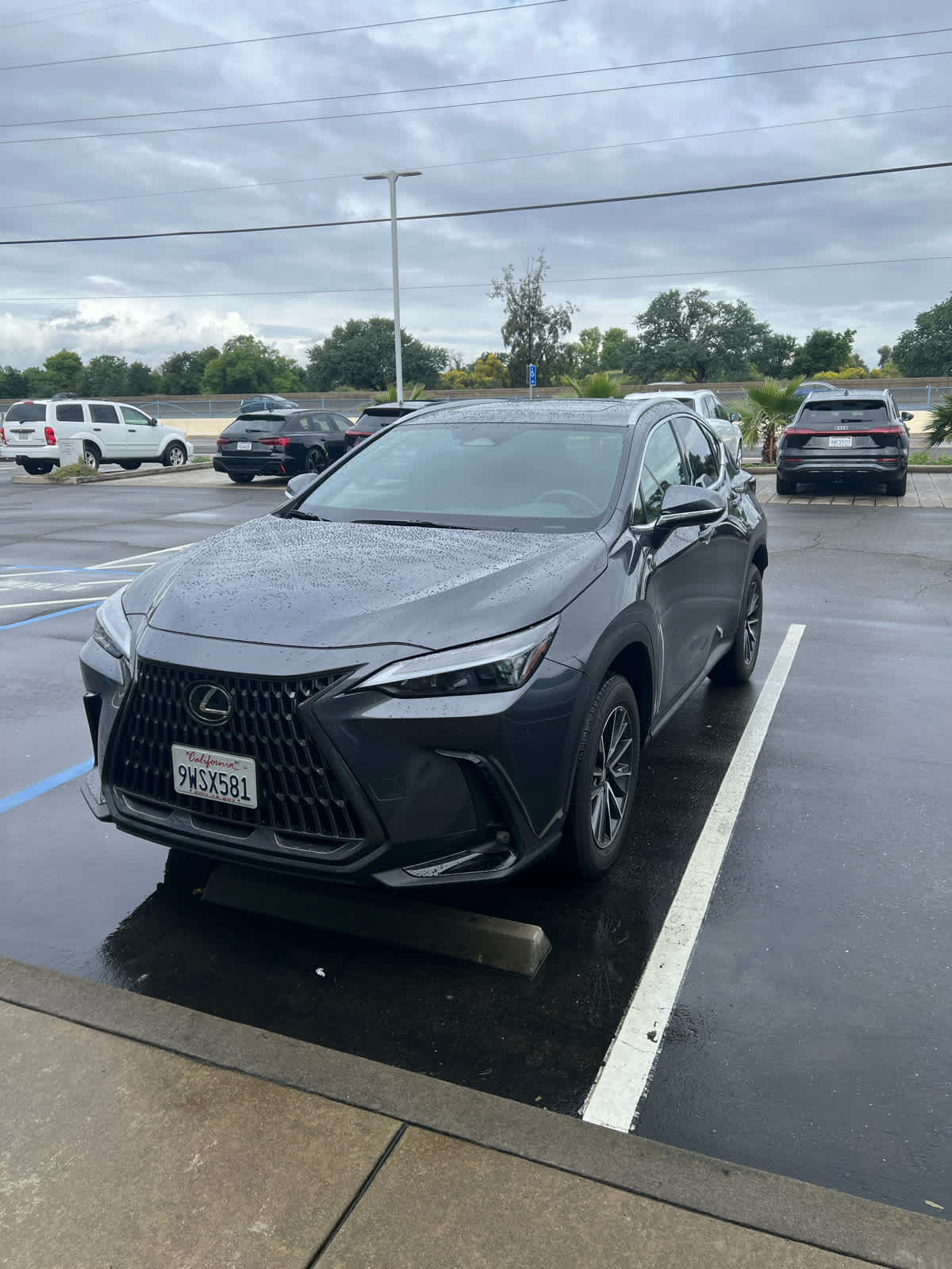 2026 LEXUS NX 350 photo 2