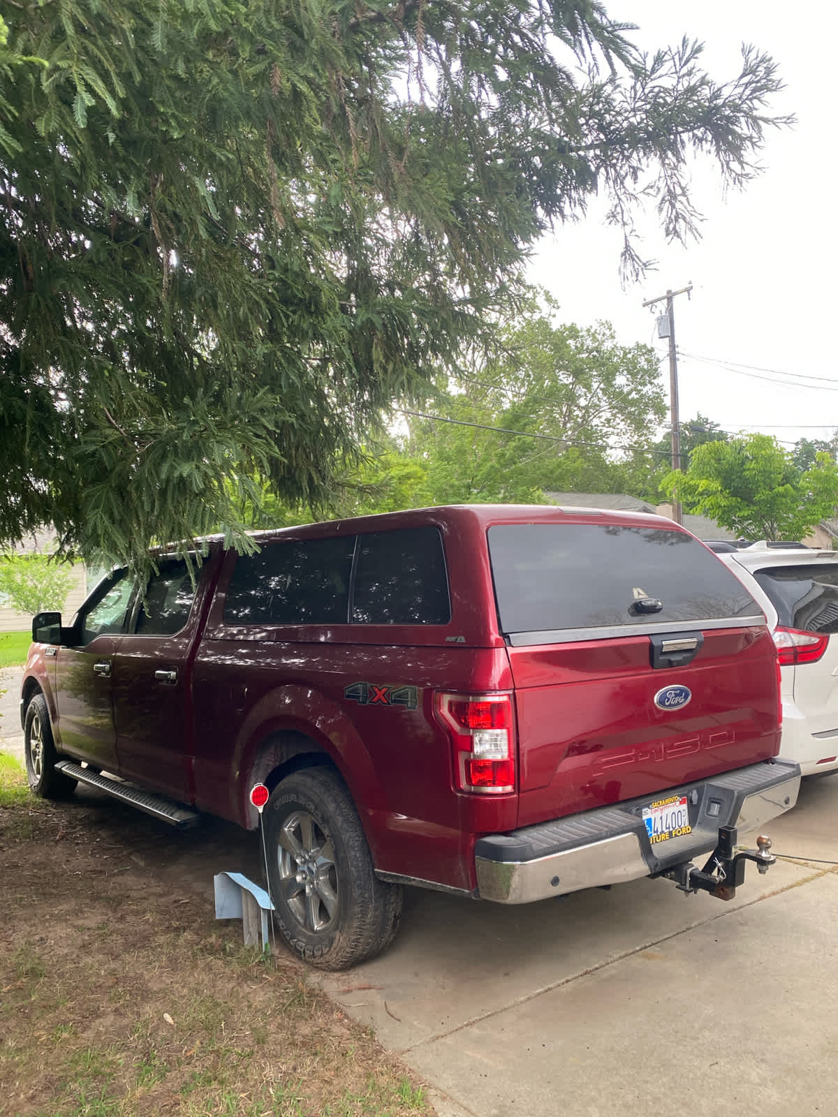 2019 Ford F-150 photo 3