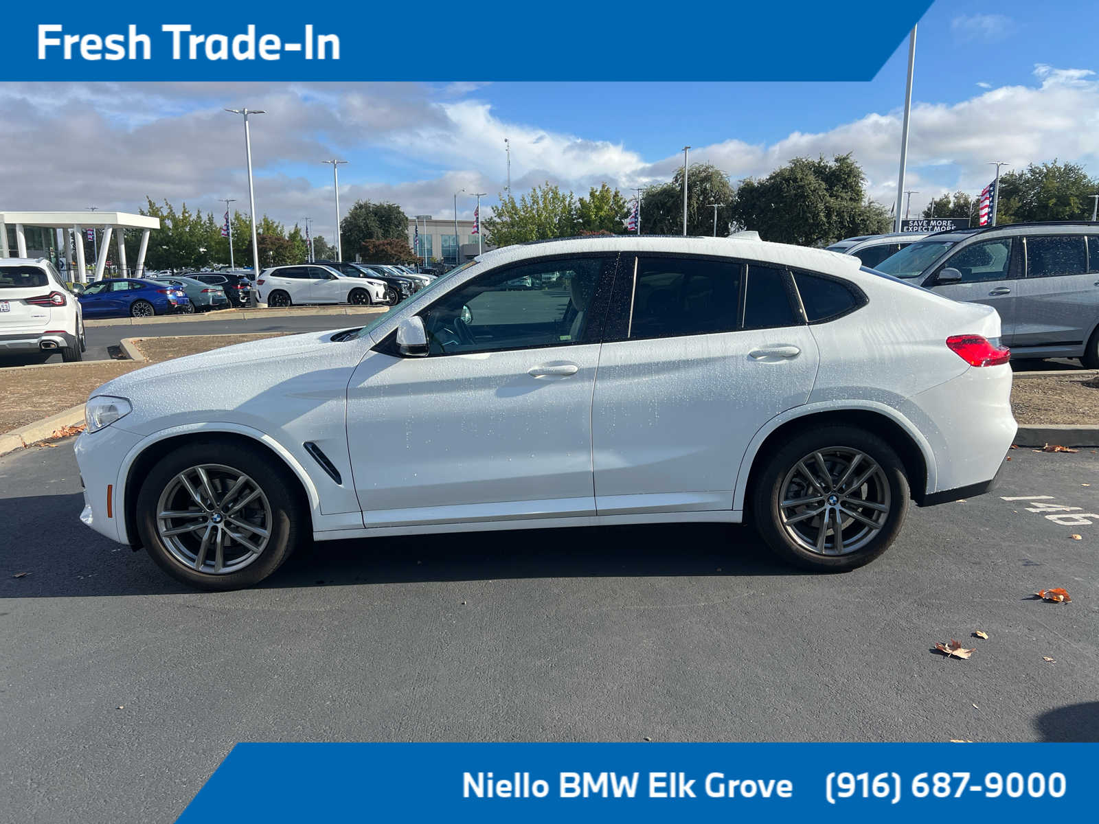 2021 Bmw X4 xDrive30i photo 2