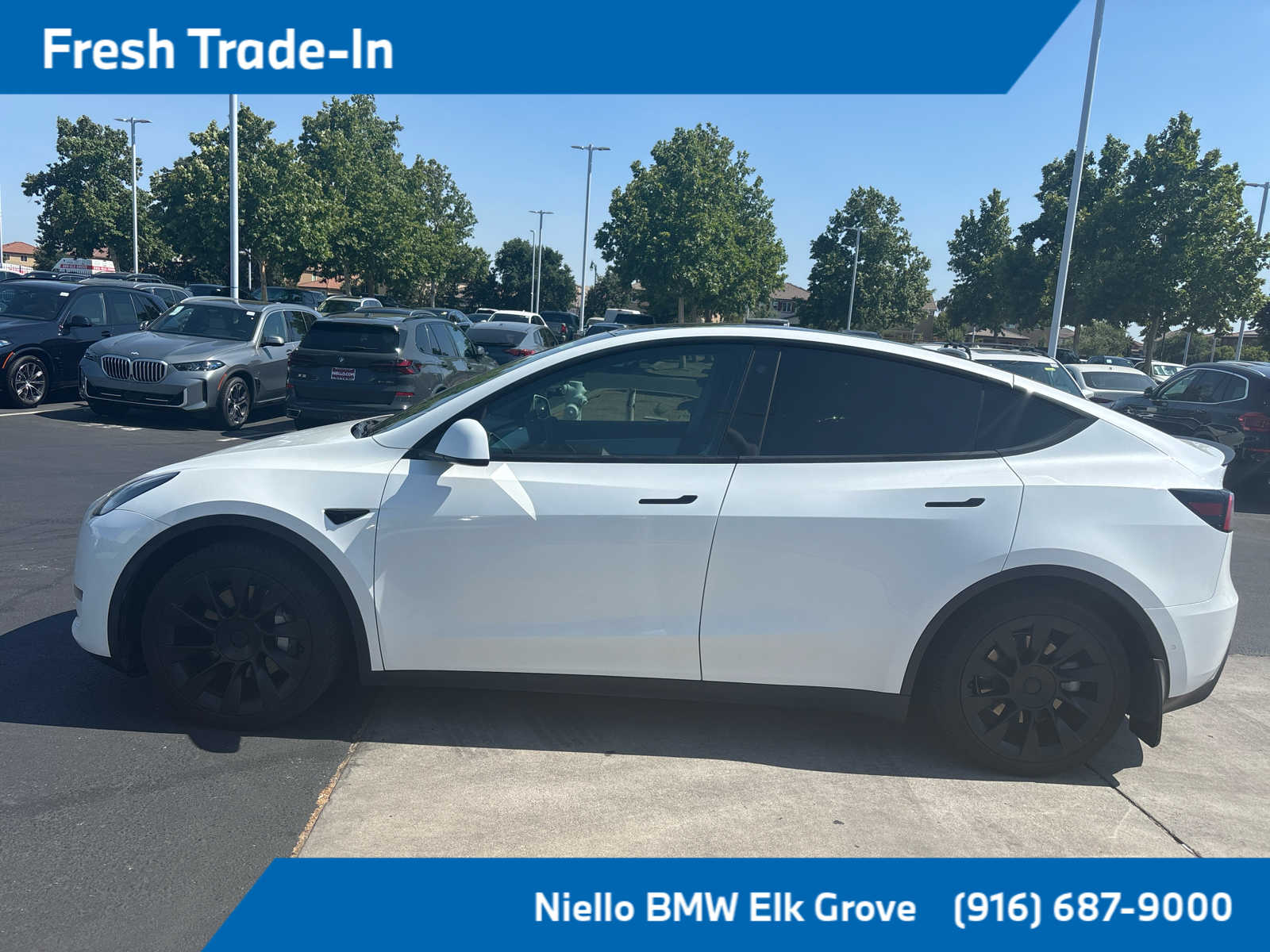 Used 2021 Tesla Model Y Long Range with VIN 5YJYGAEE2MF229120 for sale in Northfield, Minnesota