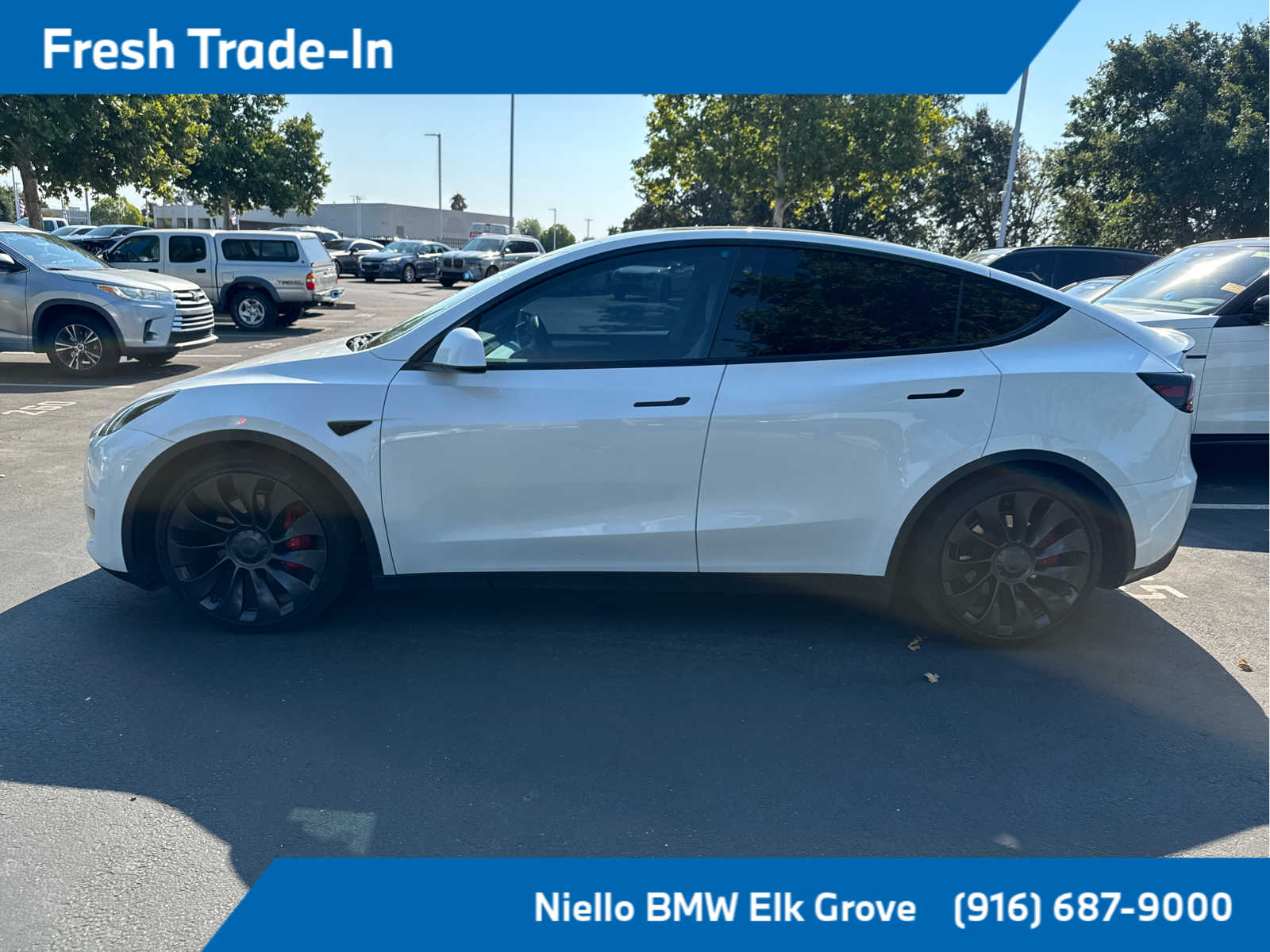 Used 2023 Tesla Model Y Performance with VIN 7SAYGDEF4PF662360 for sale in Northfield, Minnesota