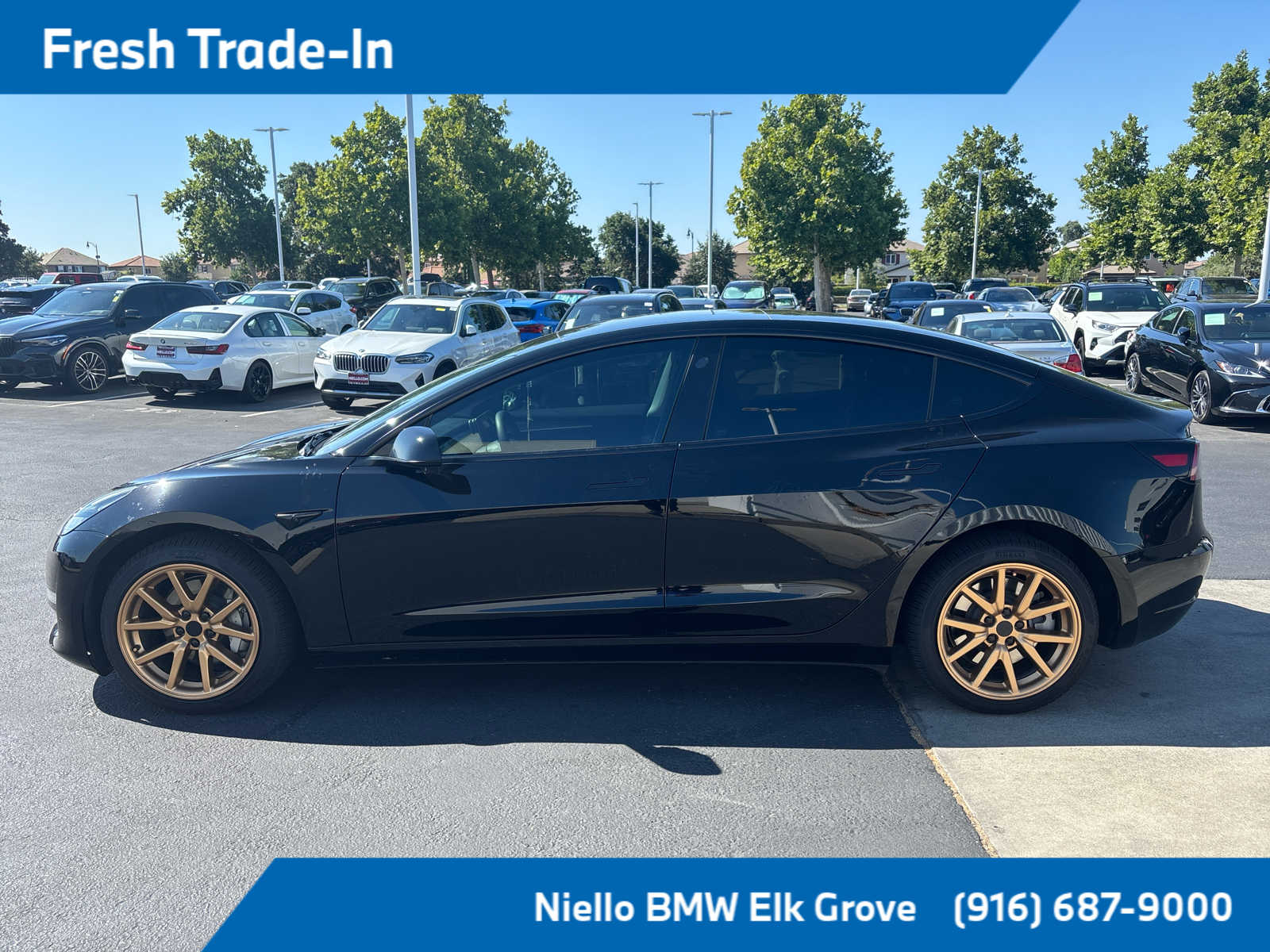 Used 2023 Tesla Model 3 Base with VIN 5YJ3E1EA4PF648054 for sale in Elk Grove, CA
