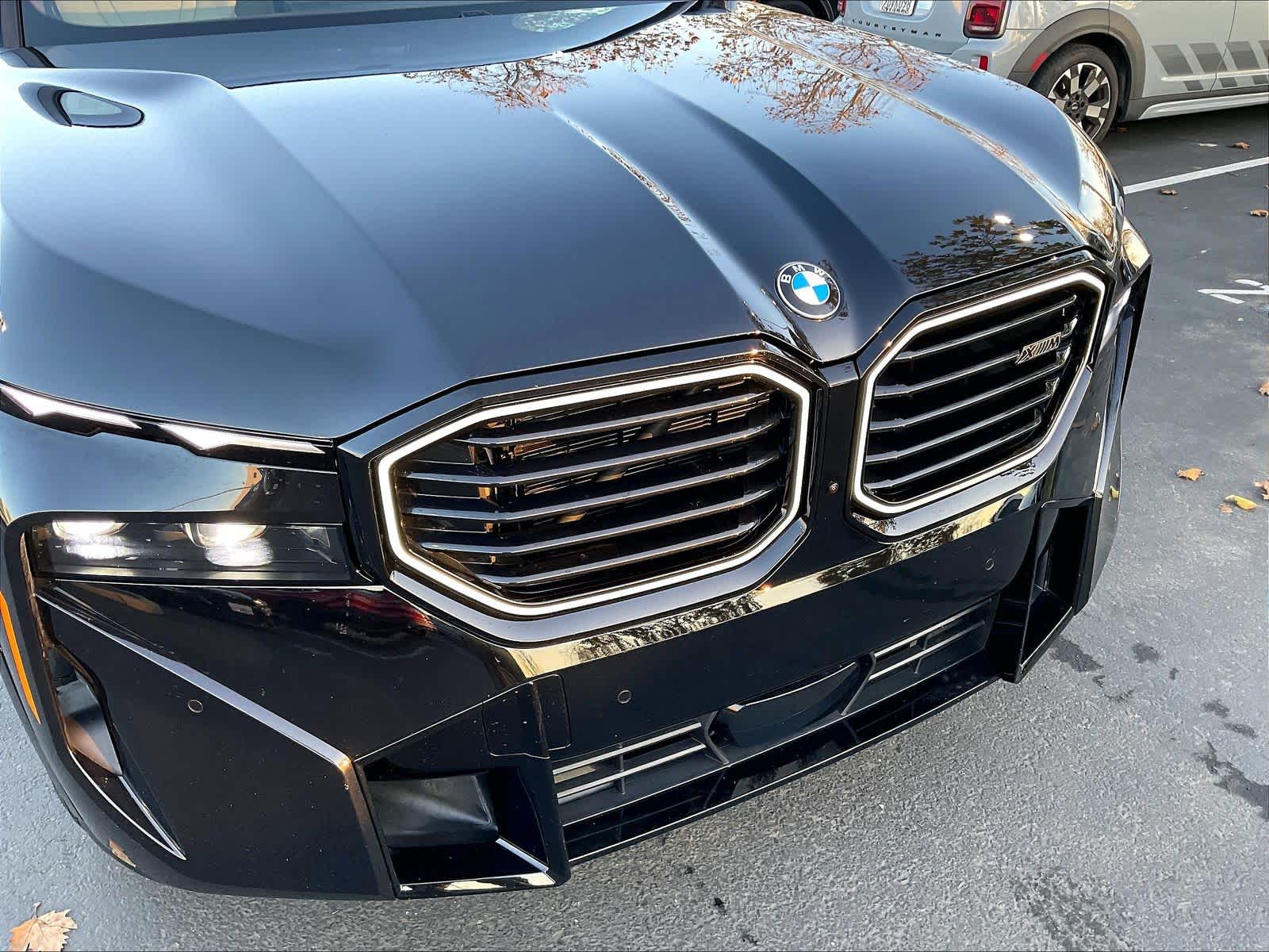 2025 BMW XM Base - Photo 29