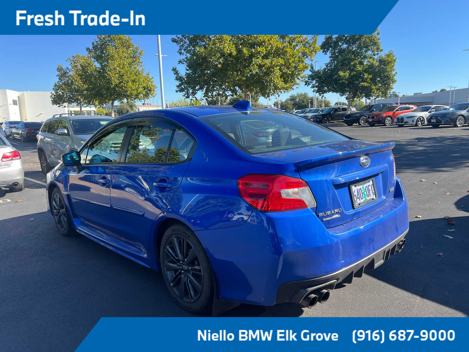 2016 Subaru WRX Base photo 2