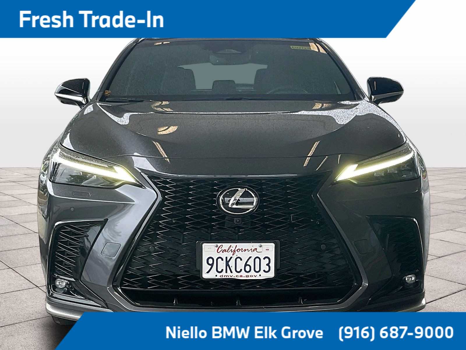 2022 LEXUS NX 450h+ F Sport photo 2