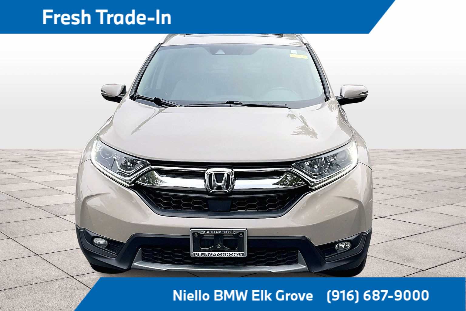 2019 Honda CR-V EX-L photo 3