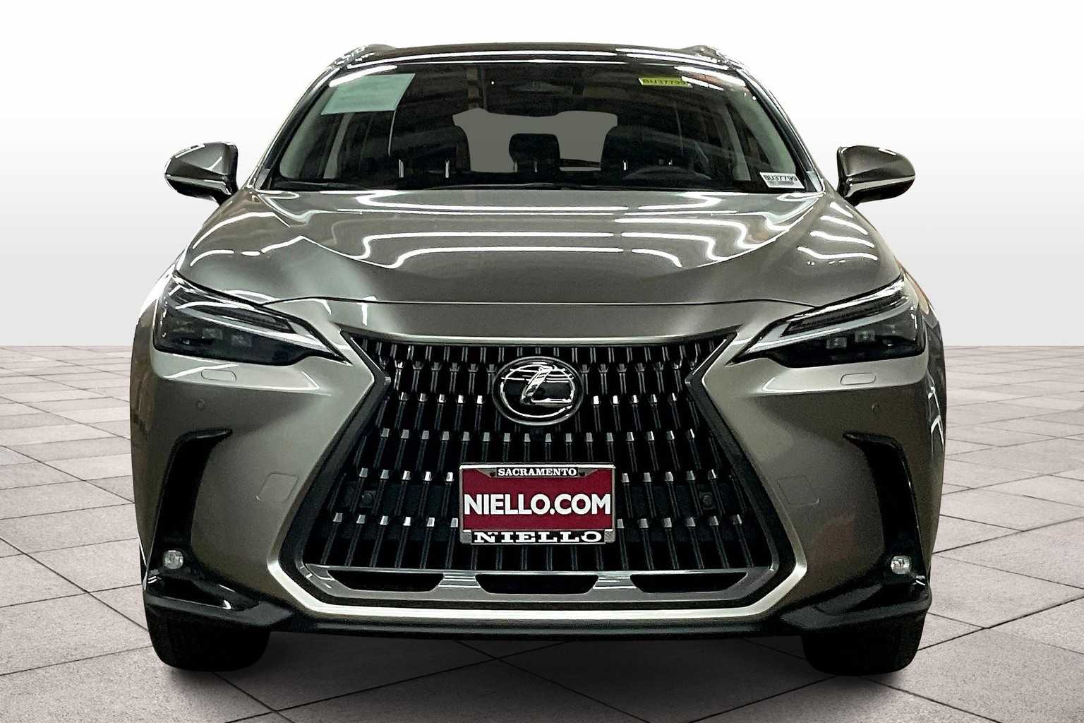 2025 Lexus NX Luxury photo 2
