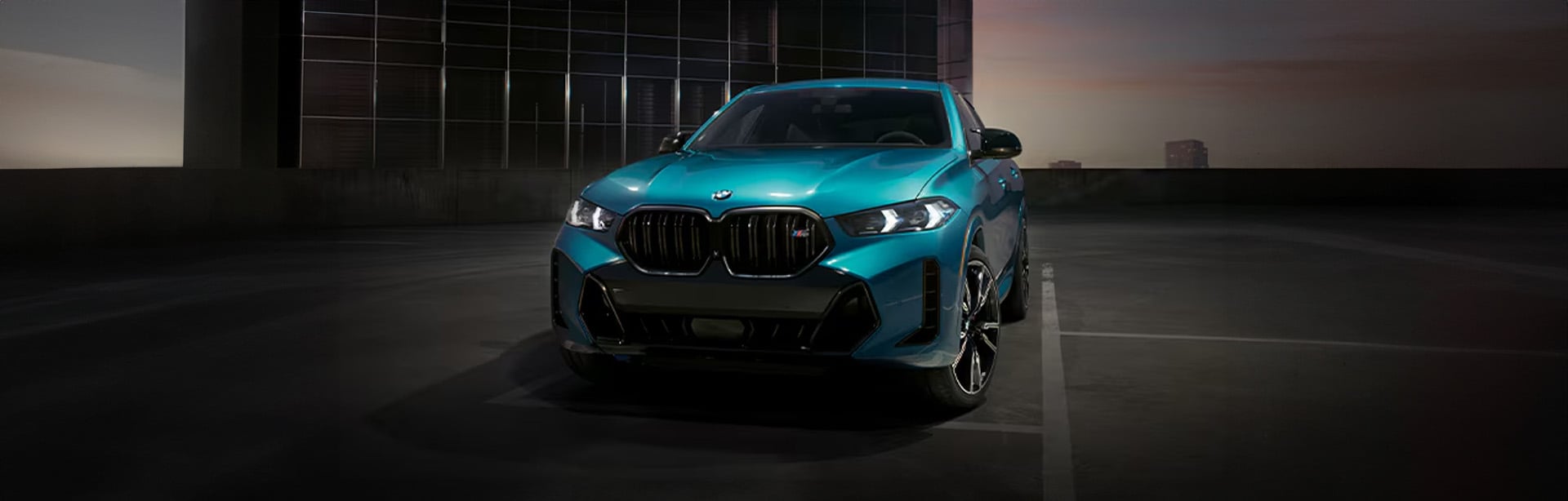 2025 BMW X6
