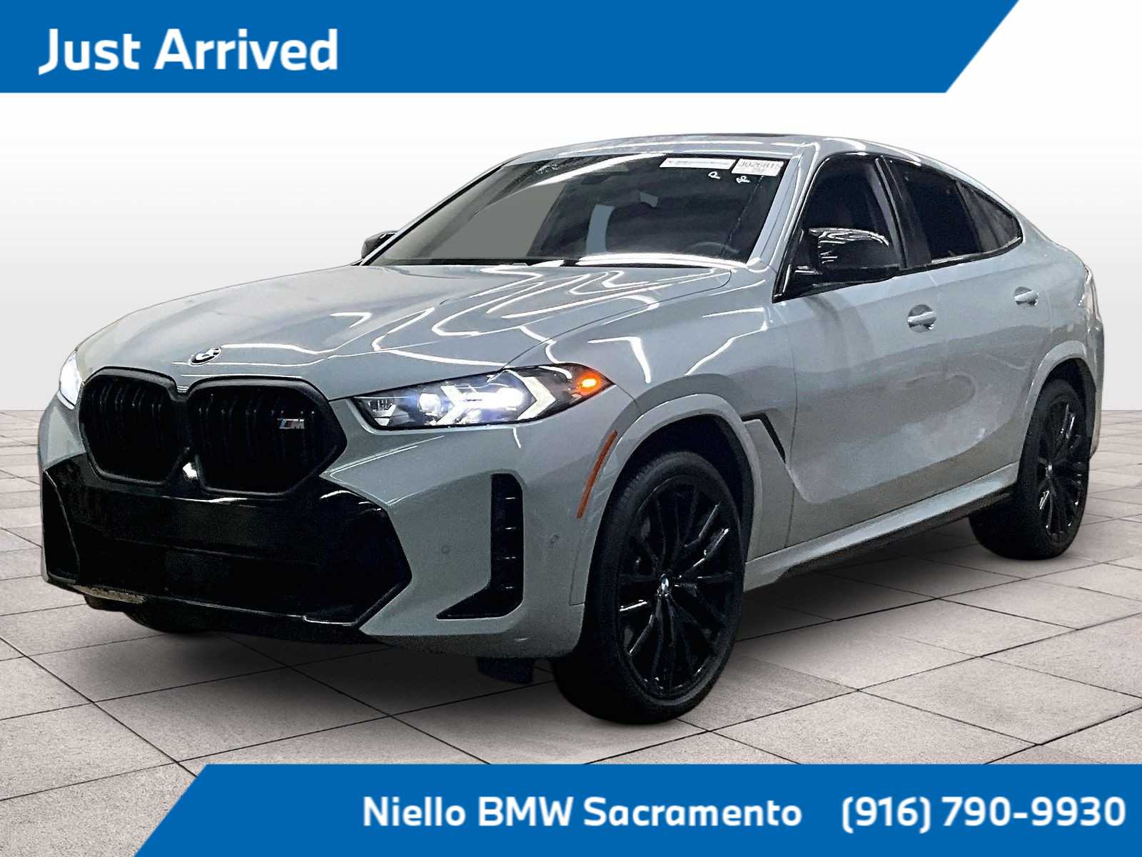 2025 BMW X6
