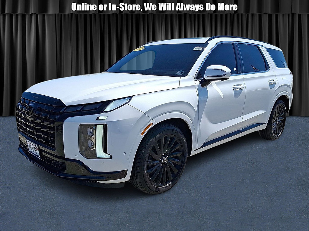 2025 Hyundai Palisade Calligraphy Night Edition AWD's photo