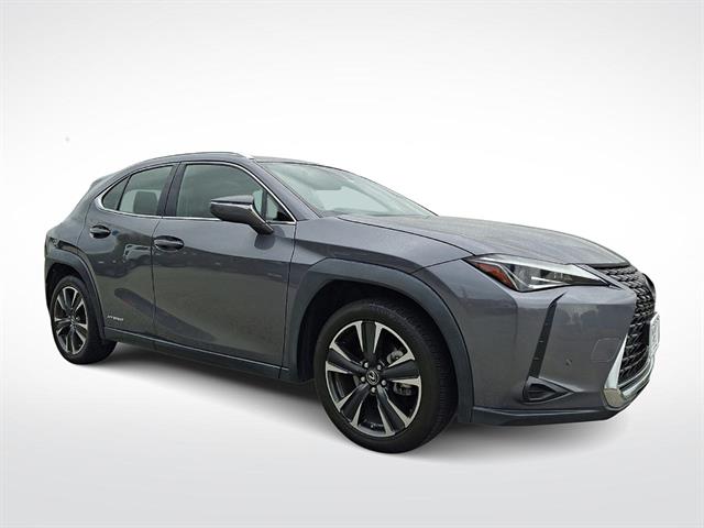 2019 Lexus UX 300h 250h AWD's photo