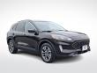 Used 2020 Ford Escape SEL SUV
