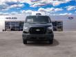 2027 Ford Transit Passenger Wagon XL Wagon Low Roof Van