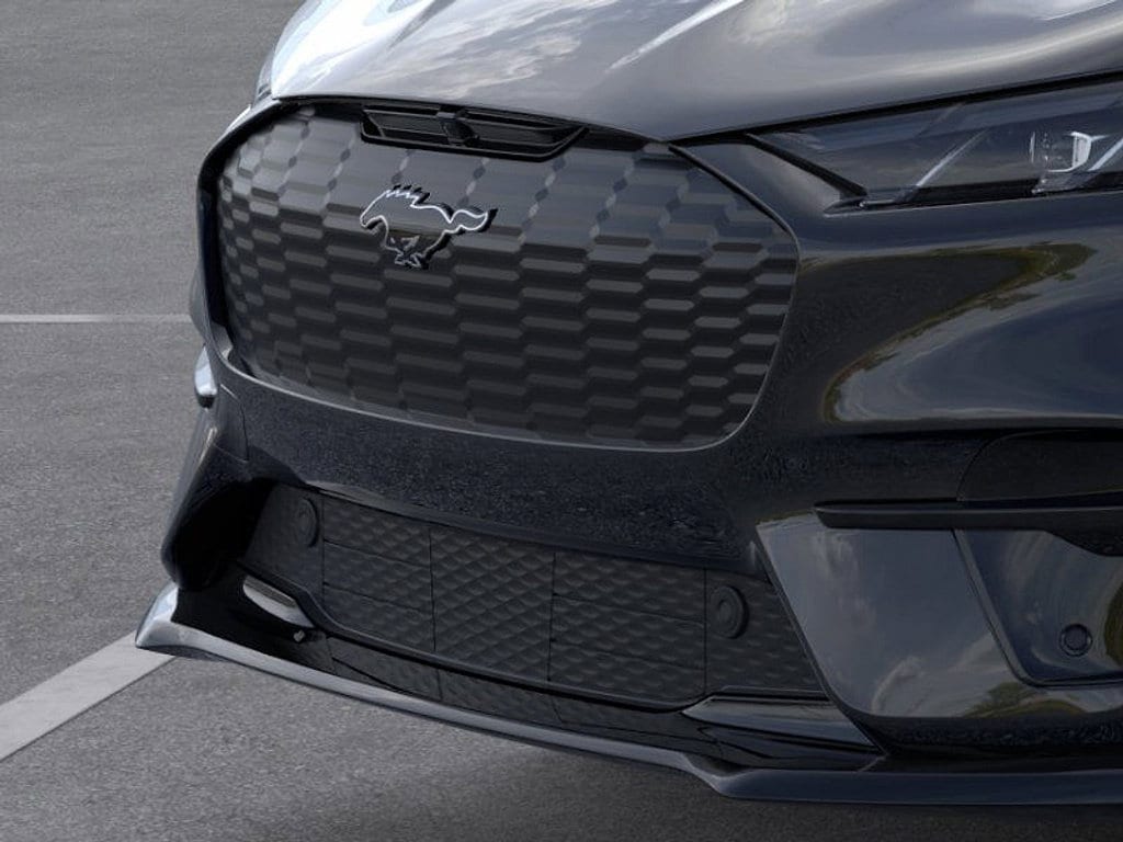 2025 Ford Mustang Mach-E GT - Photo 17