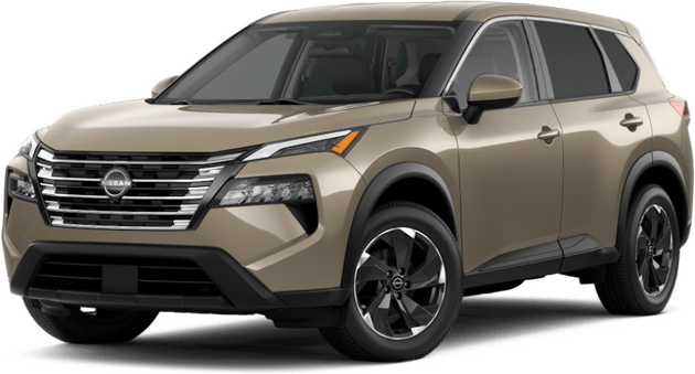 rogue-sv-baja-storm-metallic.png