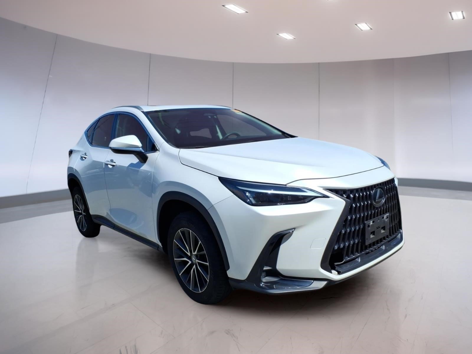2024 Lexus NX