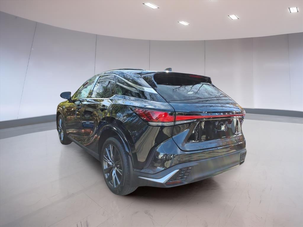 2023 Lexus RX 350 Luxury photo 3