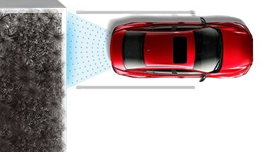 Rear Automatic Braking