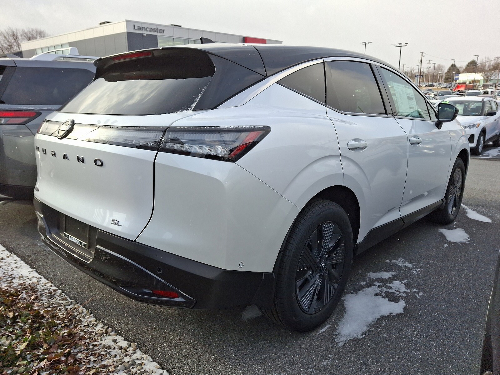 2025 Nissan Murano SL photo 4