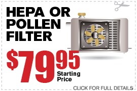 HEPA or Pollen Filter