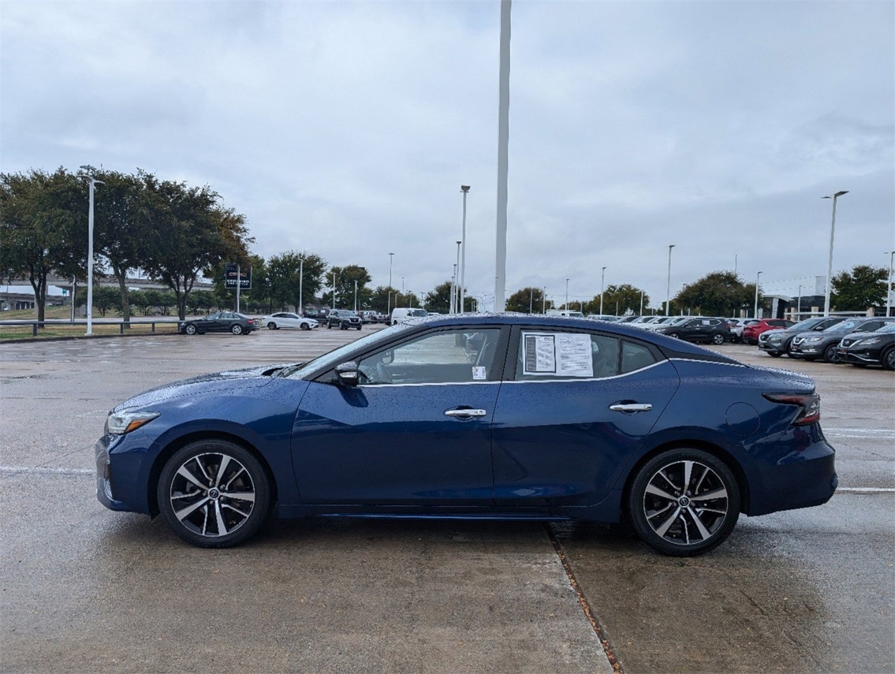 Certified 2023 Nissan Maxima SV with VIN 1N4AA6CV6PC508676 for sale in Mckinney, TX