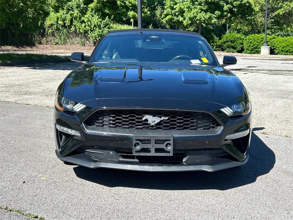 Used 2022 Ford Mustang EcoBoost Premium with VIN 1FATP8UH3N5120320 for sale in Franklin, TN