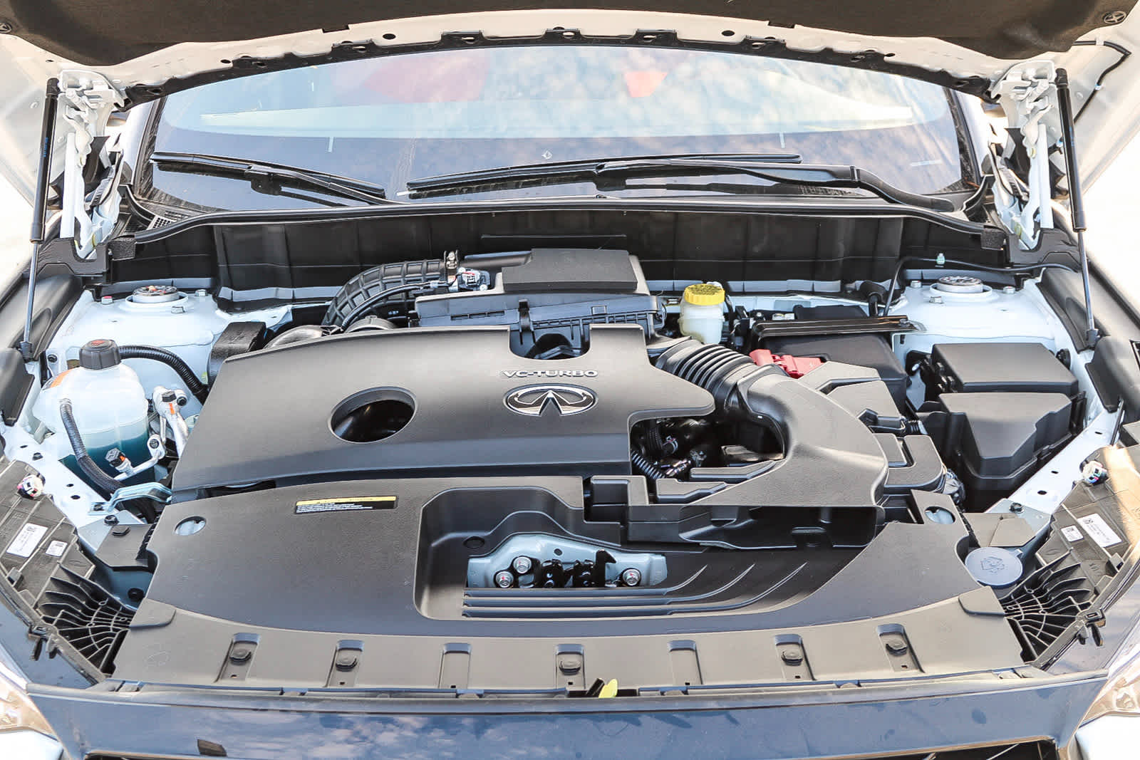 Thumbnail: 2025 INFINITI QX50 - 13