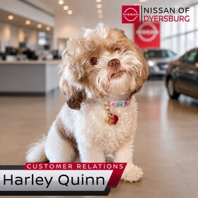 Staff member Harley Quinn from ID_e4fc16