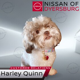 Staff member Harley Quinn from ID_e4fc16