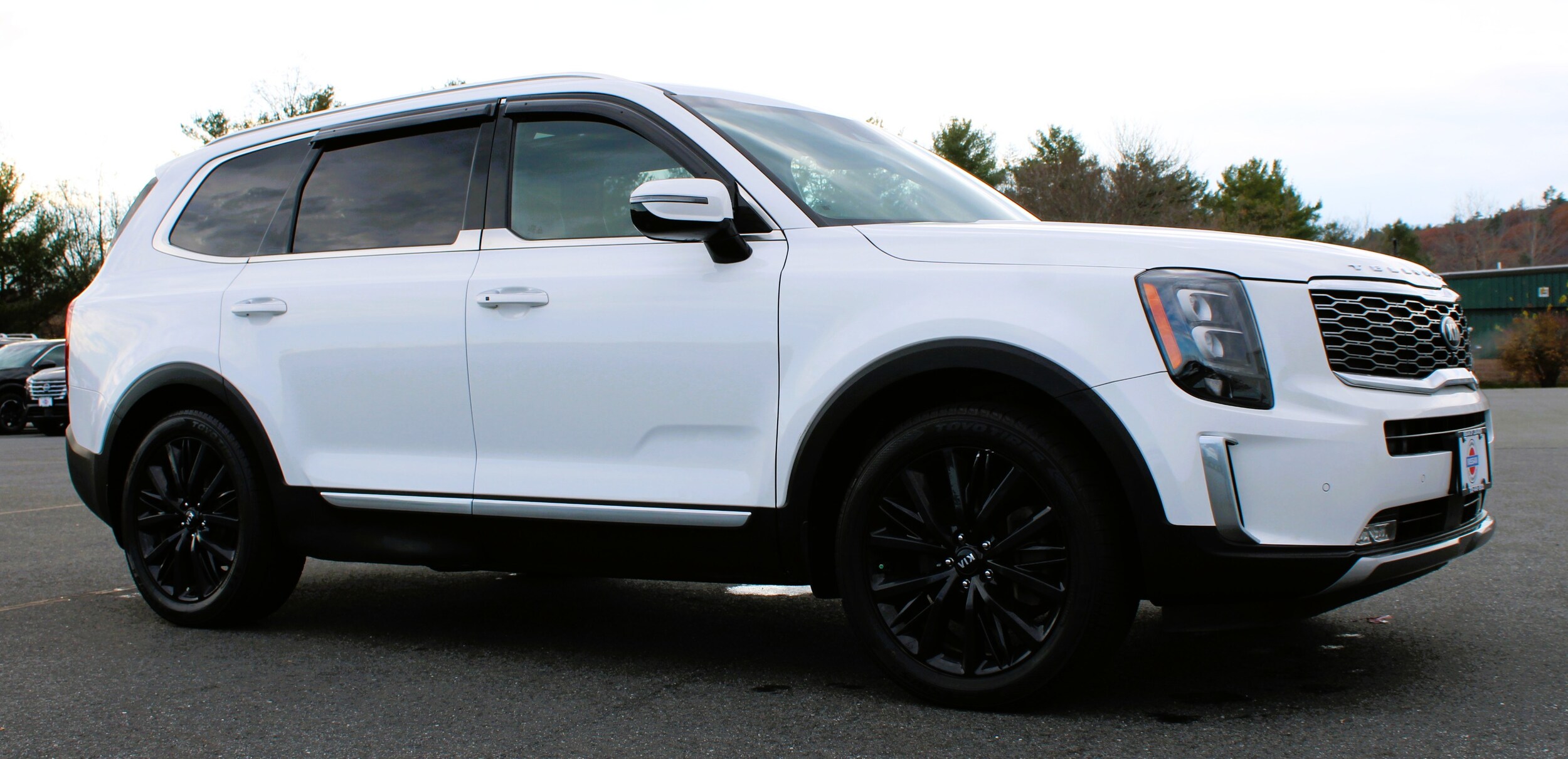 2020 Kia Telluride SX photo 4