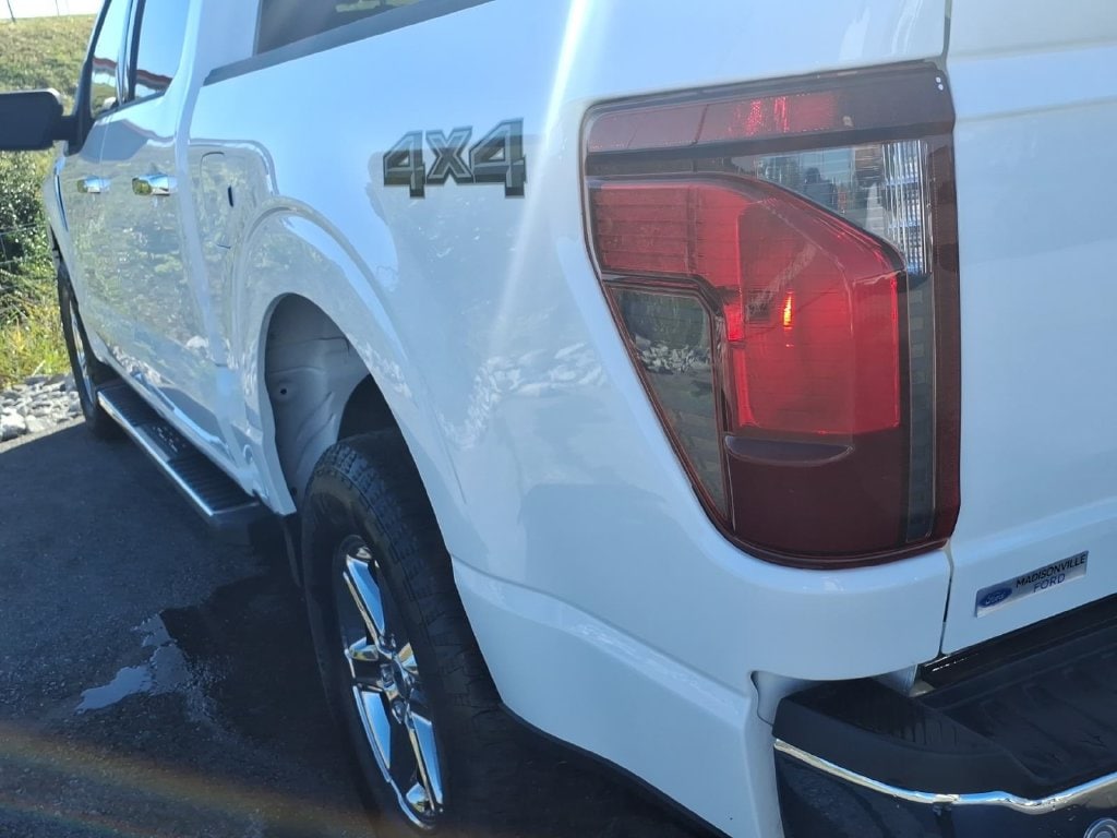 2025 Ford F-150 XLT - Photo 19