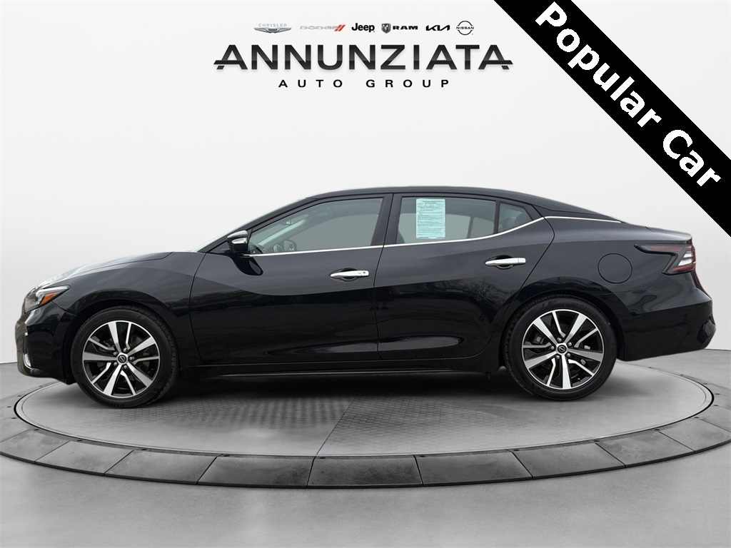 Certified 2023 Nissan Maxima SV with VIN 1N4AA6CV8PC512390 for sale in New Hampton, NY