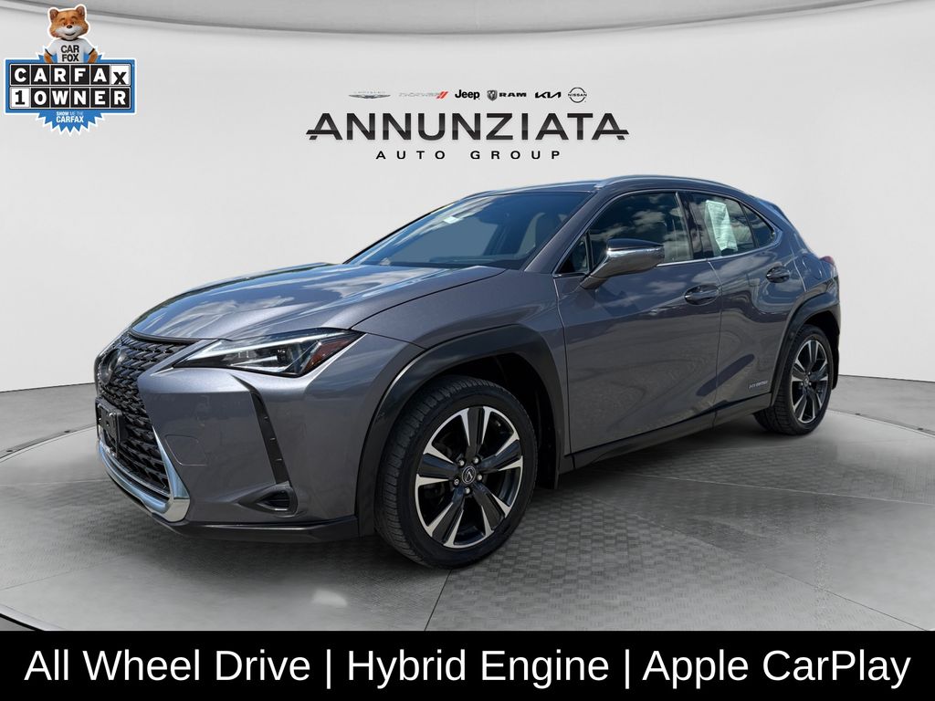2021 Lexus UX 300h 250h AWD's photo