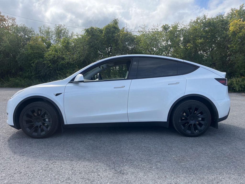 2024 Tesla Model Y Long Range photo 4