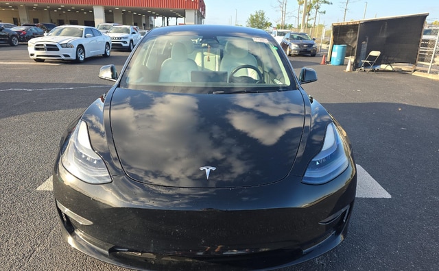 Used 2023 Tesla Model 3 Performance with VIN 5YJ3E1EC5PF577559 for sale in Victoria, TX