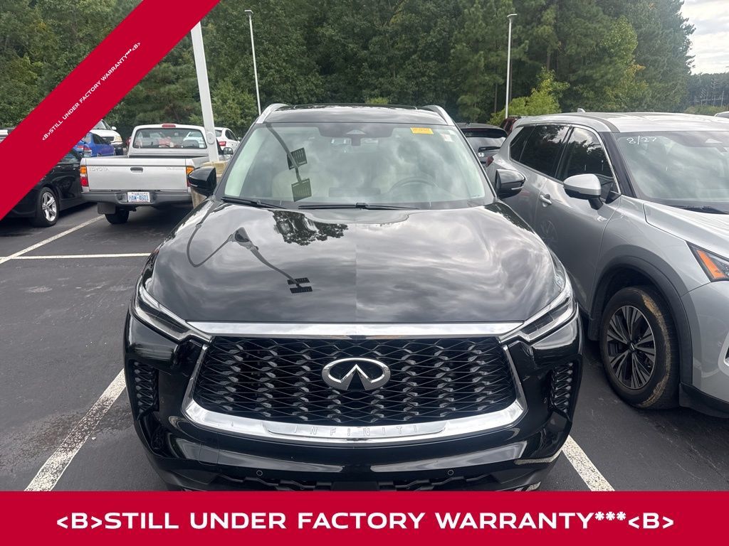 2024 Infiniti QX60 Luxe photo 2