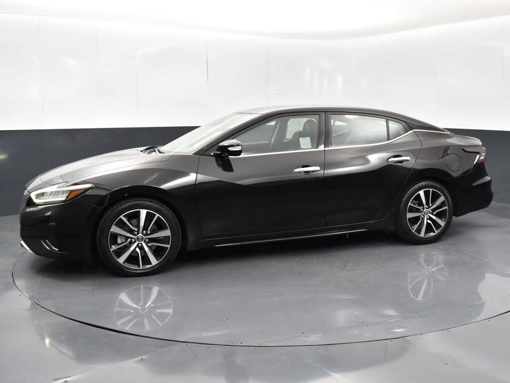 2023 Nissan Maxima SV photo 4