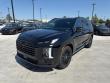 New 2025 Hyundai Palisade Calligraphy Night Edition AWD SUV