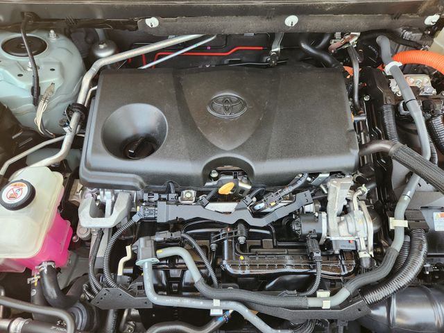 2021 Toyota RAV4 XLE Premium - Photo 22