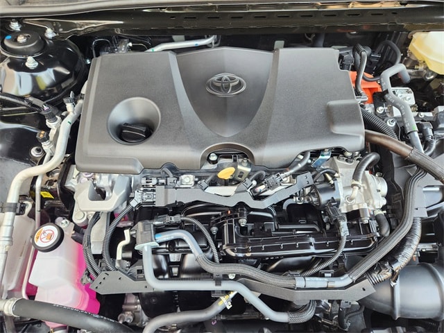 View 20