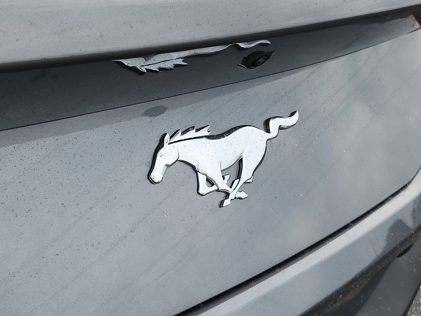 2026 Ford Mustang EcoBoost Fastback - Photo 17