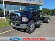  Ford Super Duty F-650
