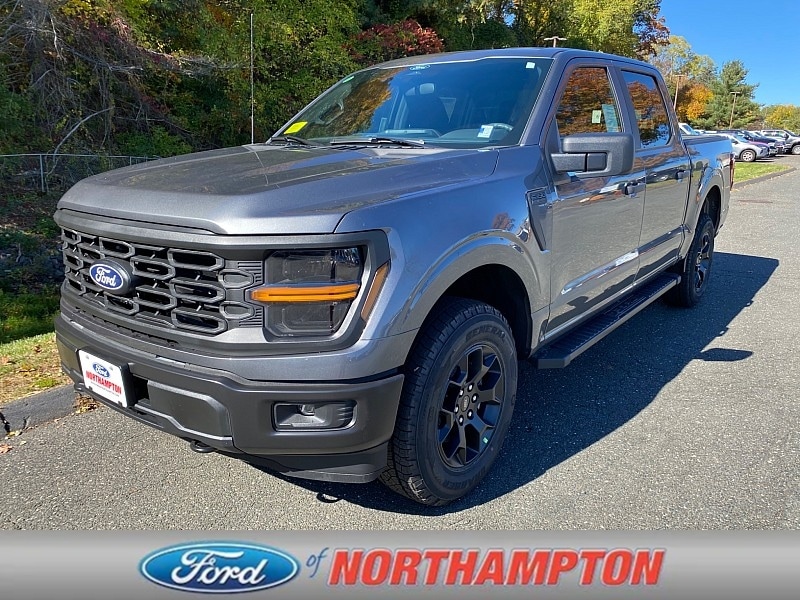 2025 Ford F-150 STX's photo